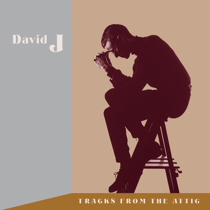 David J - Tracks From The Attic - IP084LP