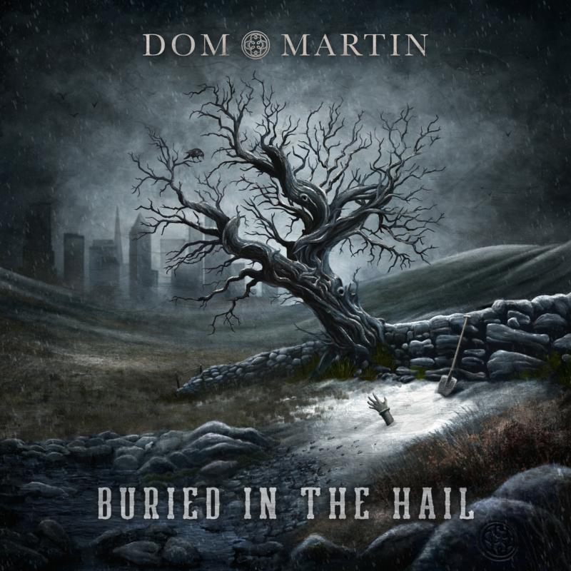Dom Martin - Buried In The Hail - FBR036LP