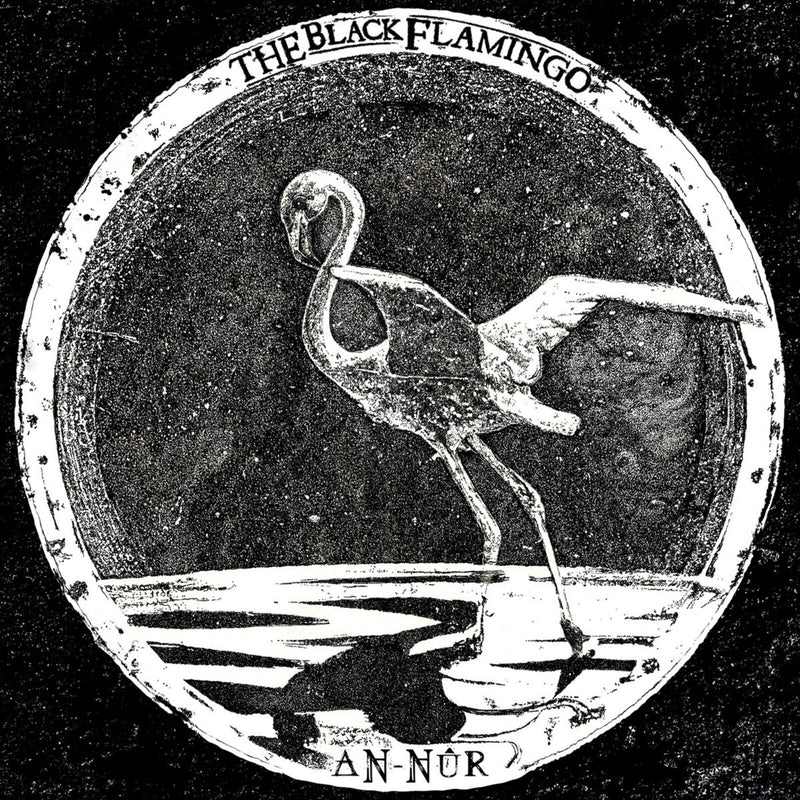 The Black Flamingo - An-Nur - SSR00129