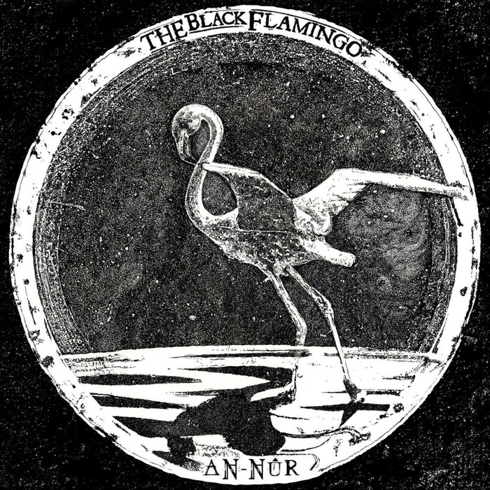 The Black Flamingo - An-Nur - SSR00129LTD