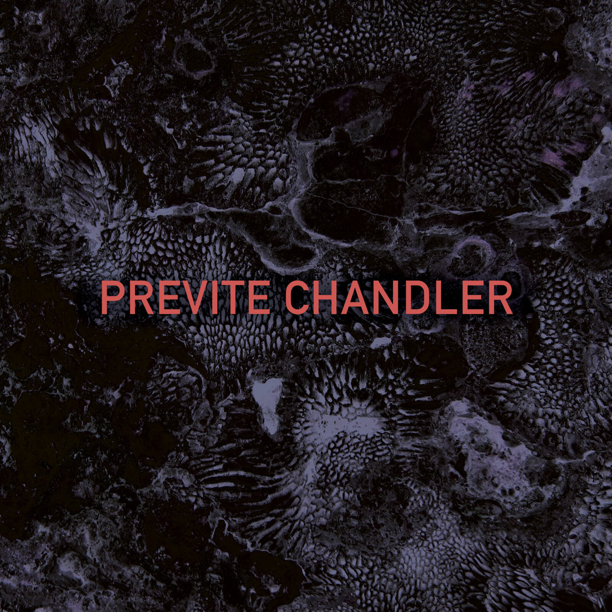 Previte Chandler - Previte Chandler - SSR00147CD