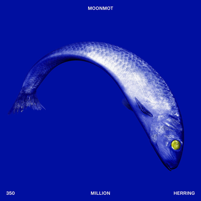 Moonmot - 350 Million Herring - ENJ9834
