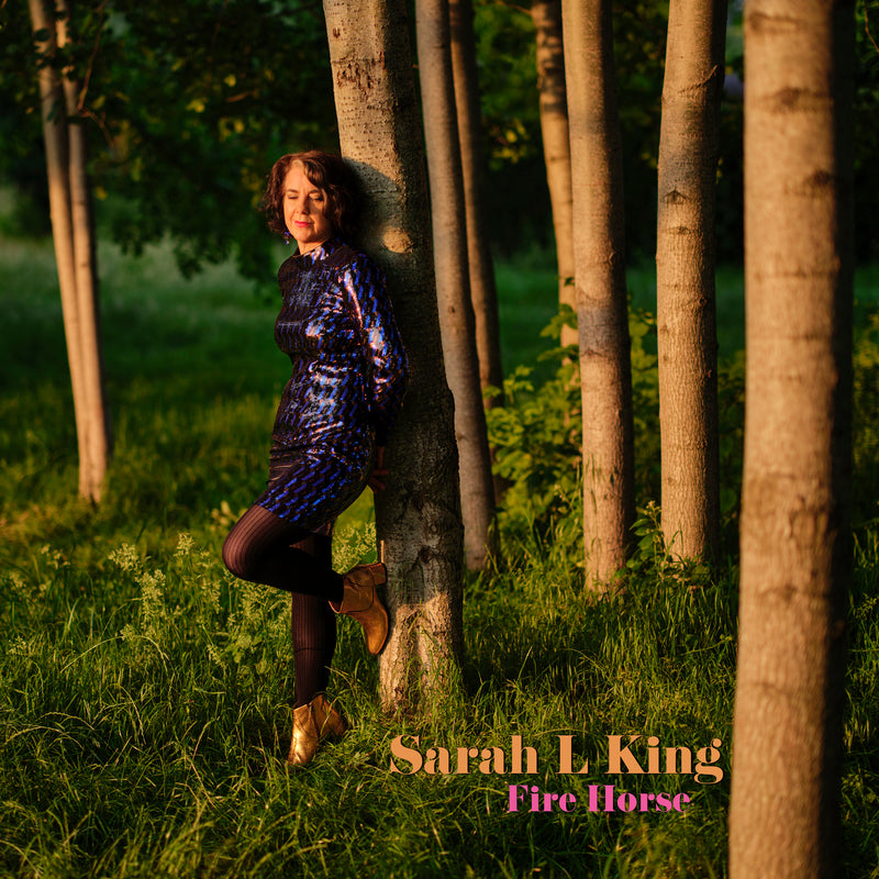 Sarah L King - Fire Horse - PD00151921
