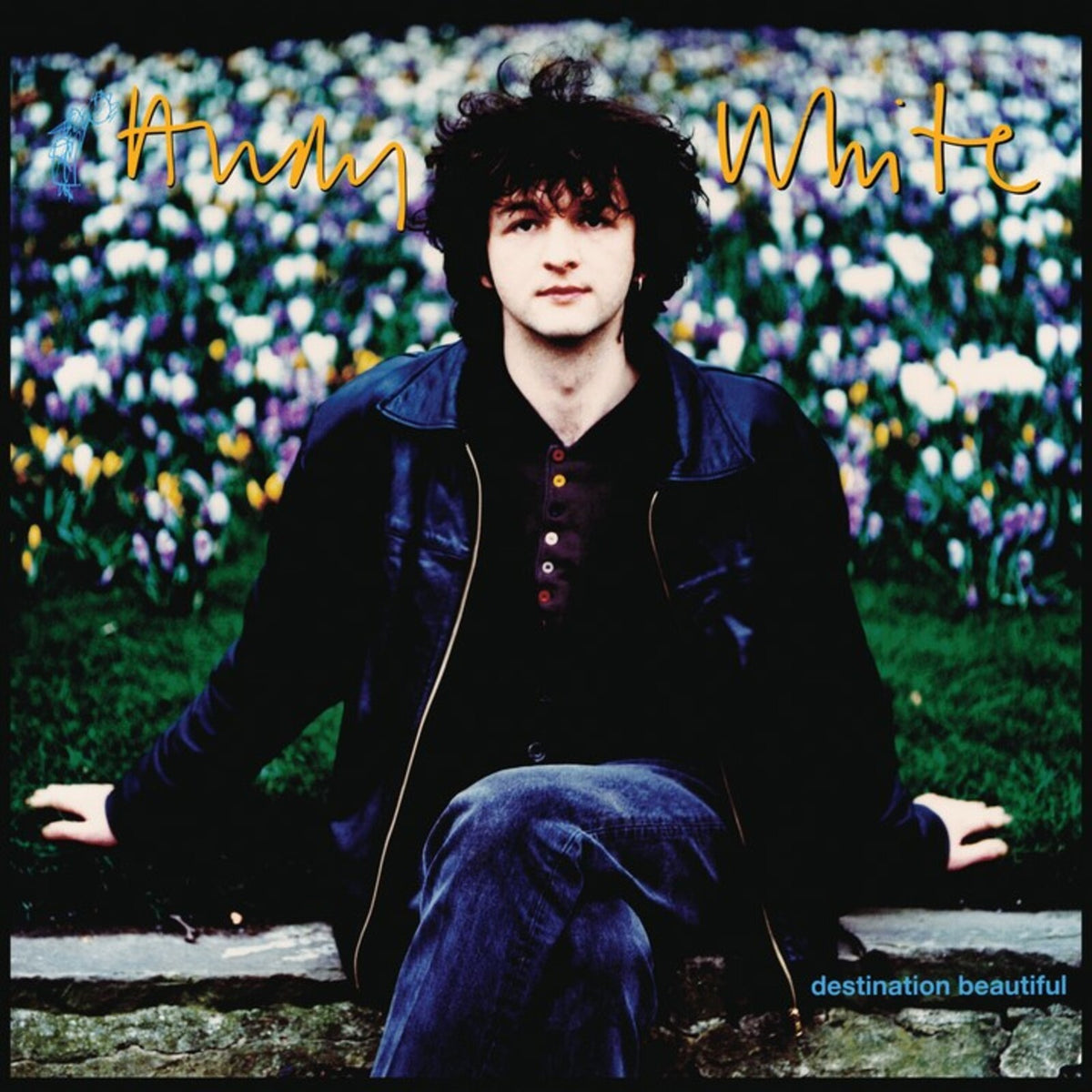 Andy White - Destination Beautiful - PNFG62