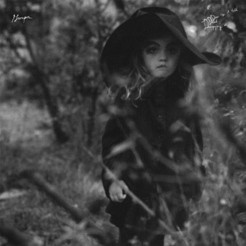 Grouper - Dragging A Dead Deer Up A Hill - KRANK176