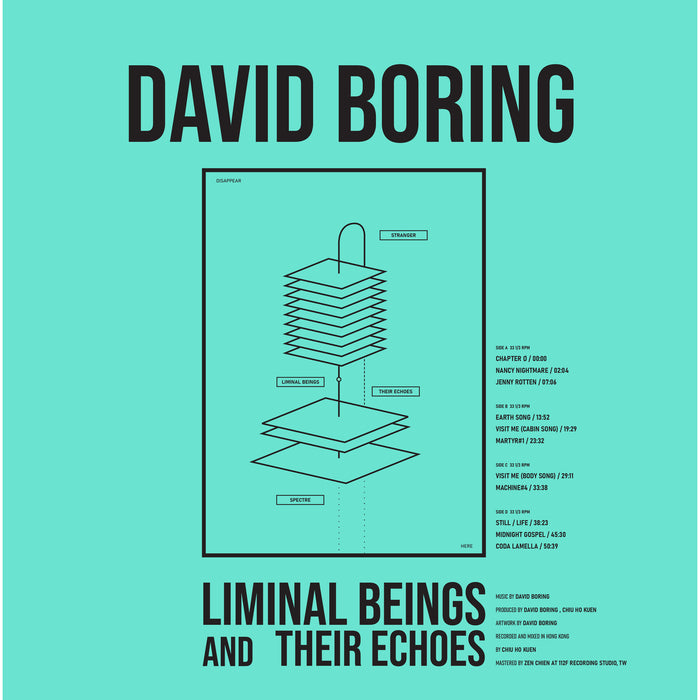 David Boring - Liminal Beings and Their Echoes - DAMNABLY173