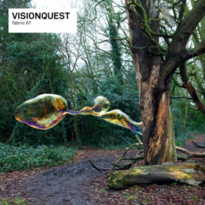 Visionquest - fabric 61: Visionquest - FABRIC121