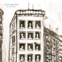 The Pineapple Thief - 10 Stories Down ( 20th Anniversary Marble LP ) - KSCOPE1277
