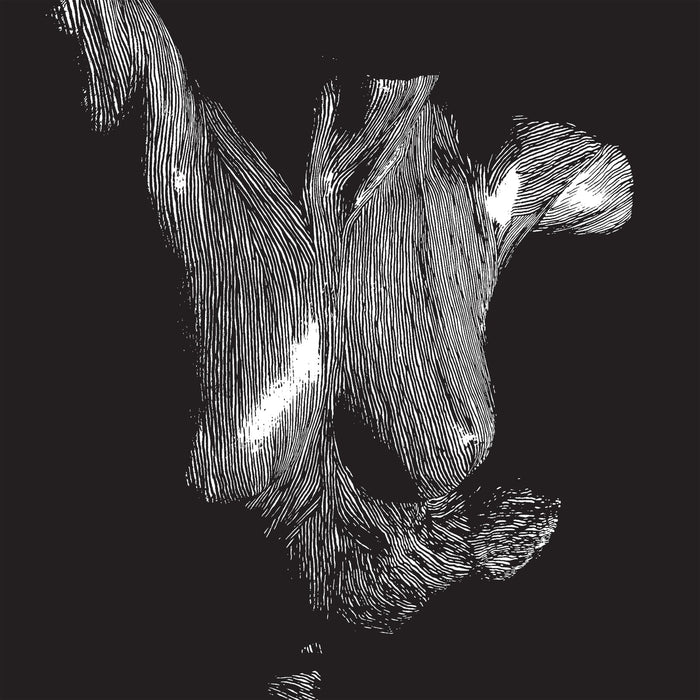 Oceansize - Self Preserved While The Bodies Float Up ( 15th Anniversary Edition ) - KSCOPE1278