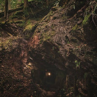 Baptists - Bloodmines - LORD196LP