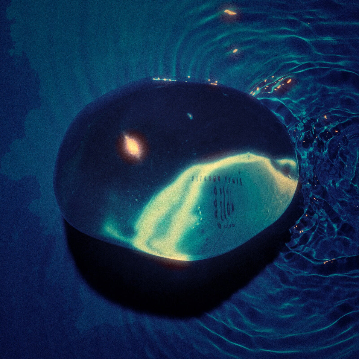 Strange Fruit - Drips - TIPT075