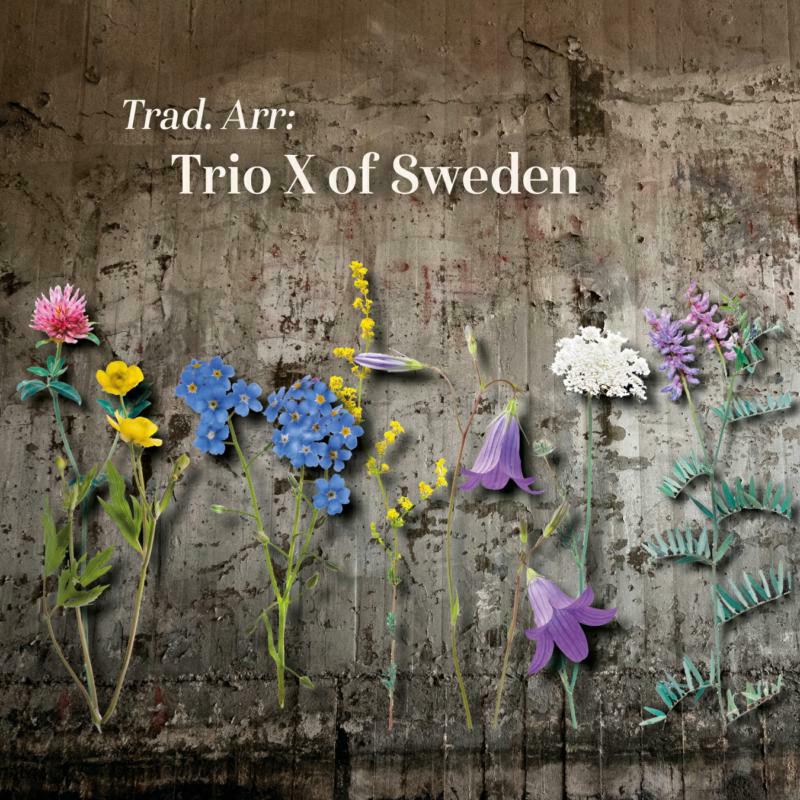 Trio X Of Sweden - Trad. Arr: Trio X of Sweden - PCD251