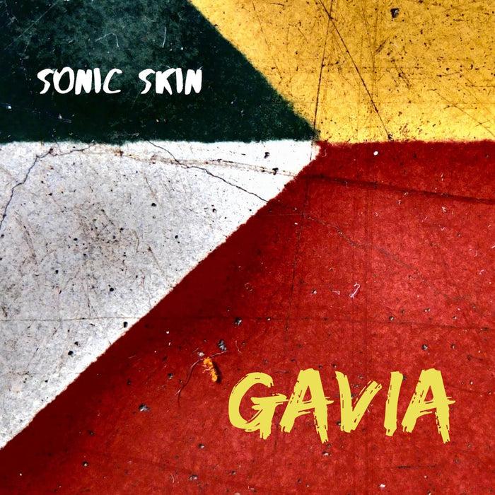 Sven Berggren; Hakan Goohde; Johannes Backstrom; Henrik Jaderberg; Adam Forkelid; Alberto Pinton - Sonic Skin - Gavia - PCD333