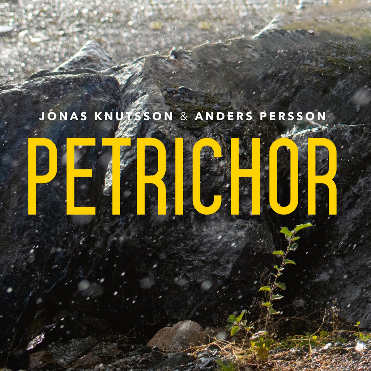 Jonas Knutsson; Anders Persson; Sebastien Dube; Terje Sundby; Rafael Sida - Jonas Knutsson & Anders Persson: Petrichor - PCD345