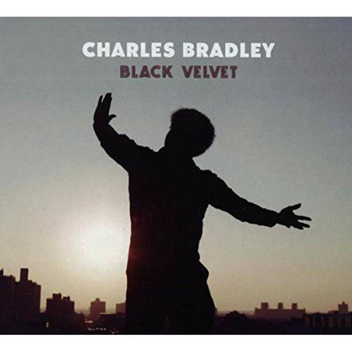 Charles Bradley - Black Velvet - DAP-054