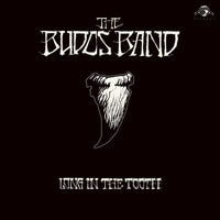 The Budos Band - Long In The Tooth - DAP065