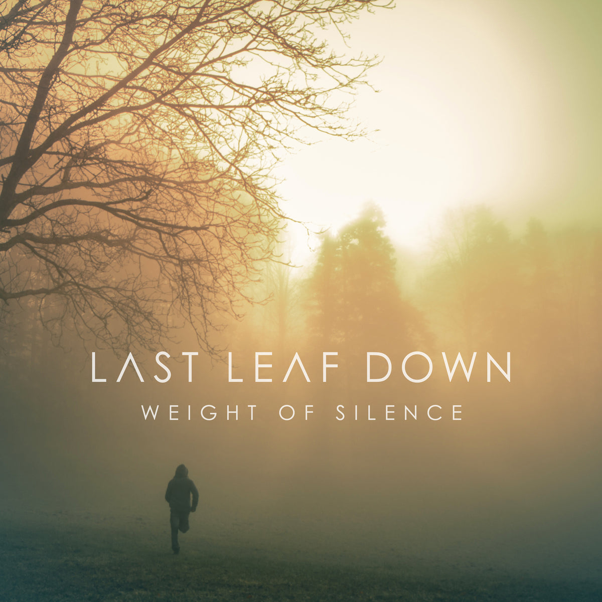 Last Leaf Down - Weight Of Silence - LFR2272