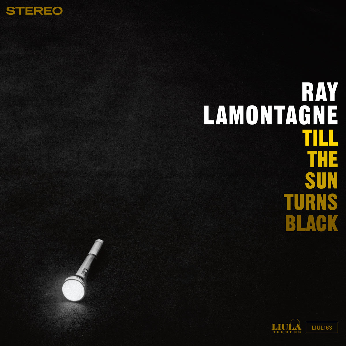 Ray LaMontagne - Till the Sun Turns Black - LIUL163