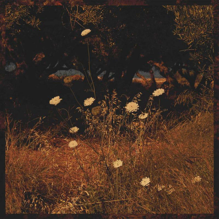 Szun Waves - Earth Patterns - BAY119CD