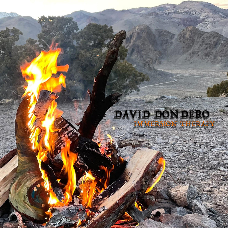 David Dondero - Immersion Therapy - FNG090LP