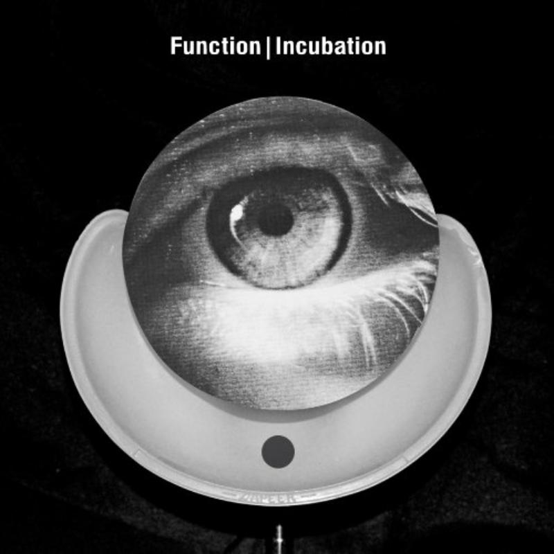 Function - Incubation - OSTGUTCD24