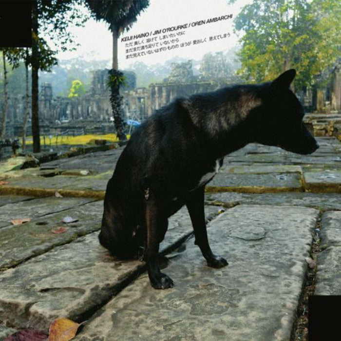 Keiji Haino Jim O Rourke Oren Amb - Only Wanting To Melt Beautifully Away... - BT011LP