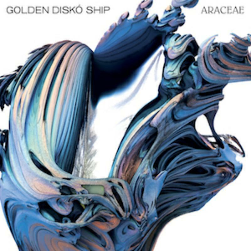 Golden Disko Ship - Araceae - KALKCD118