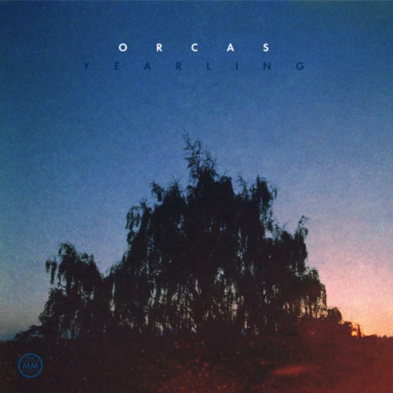 Orcas - Yearling - MM128LP