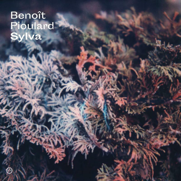 Benoit Pioulard - Sylva - MM162LP