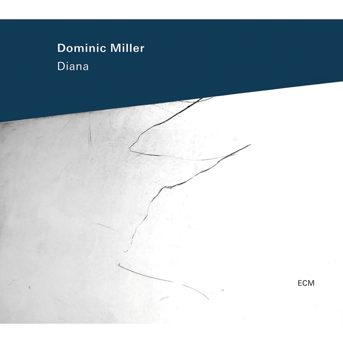 Dominic Miller; Santiago Arias; Nicolas Fiszman; Ziv Ravitz - Dominic Miller: Diana - 6123072