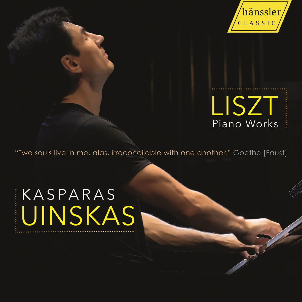 Kasparas Uinskas - Franz Liszt: Piano Works - HC24037