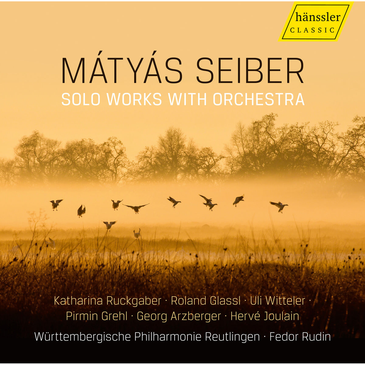 Katharina Ruckgaber; Roland Glassl; Uli Witteler; Pirmin Grehl; Georg Arzberger; Herve Joulain; Wurttembergische Philharmonie Reutlingen; Fedor Rudin - Matyas Seiber: Solo Works with Orchestra - HC25053