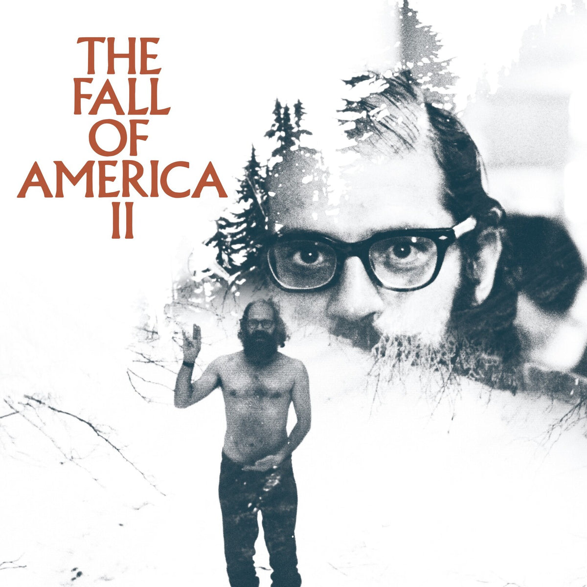 Various Artists - Allen Ginsberg's The Fall Of America Vol II - AGR006LP