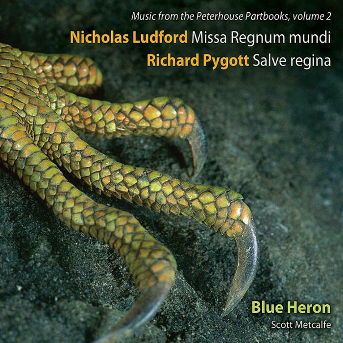 Blue Heron Choir/Metcalfe - Ludford:Missa Regnum Mundi - BHCD1003