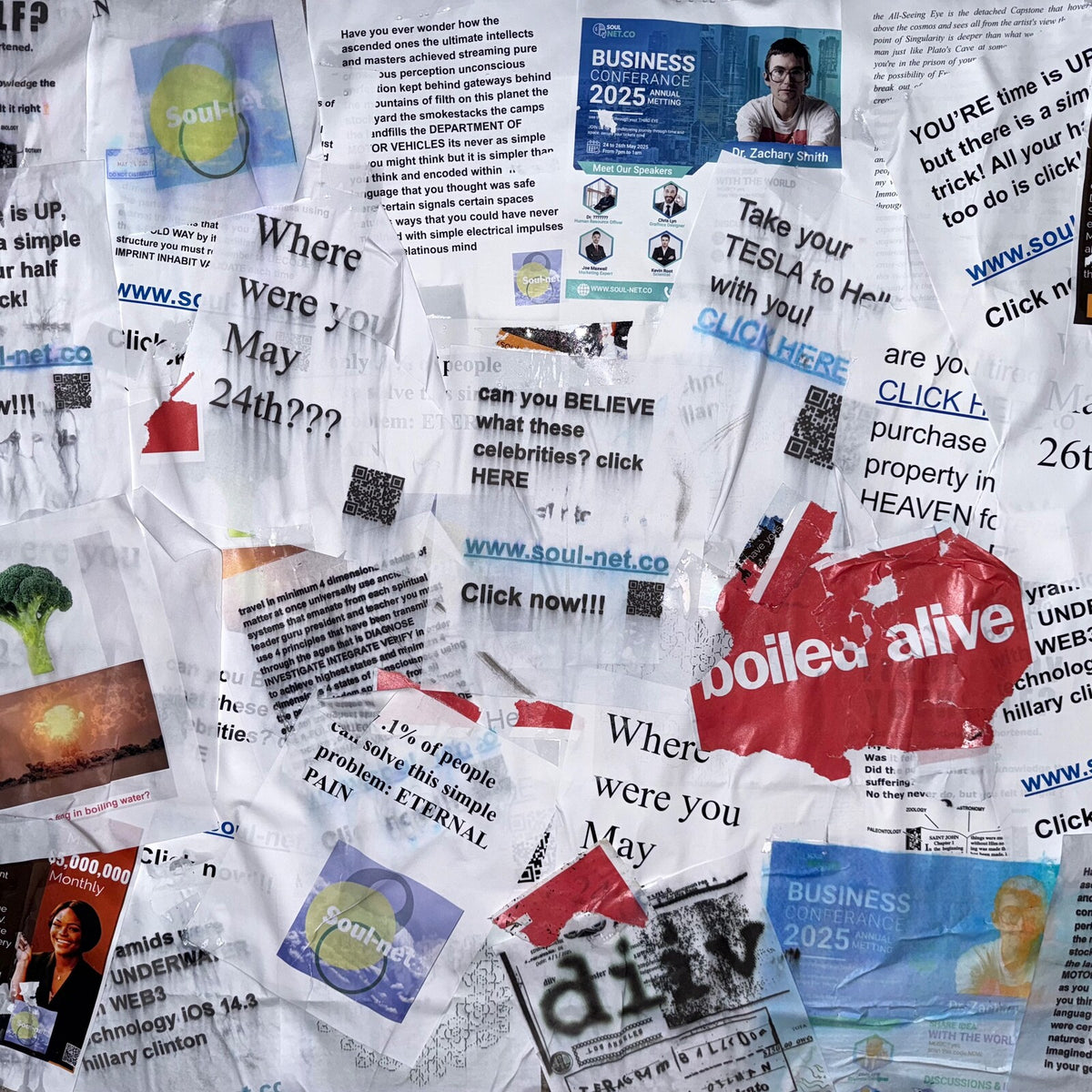 DIIV - Boiled Alive - FAN03142