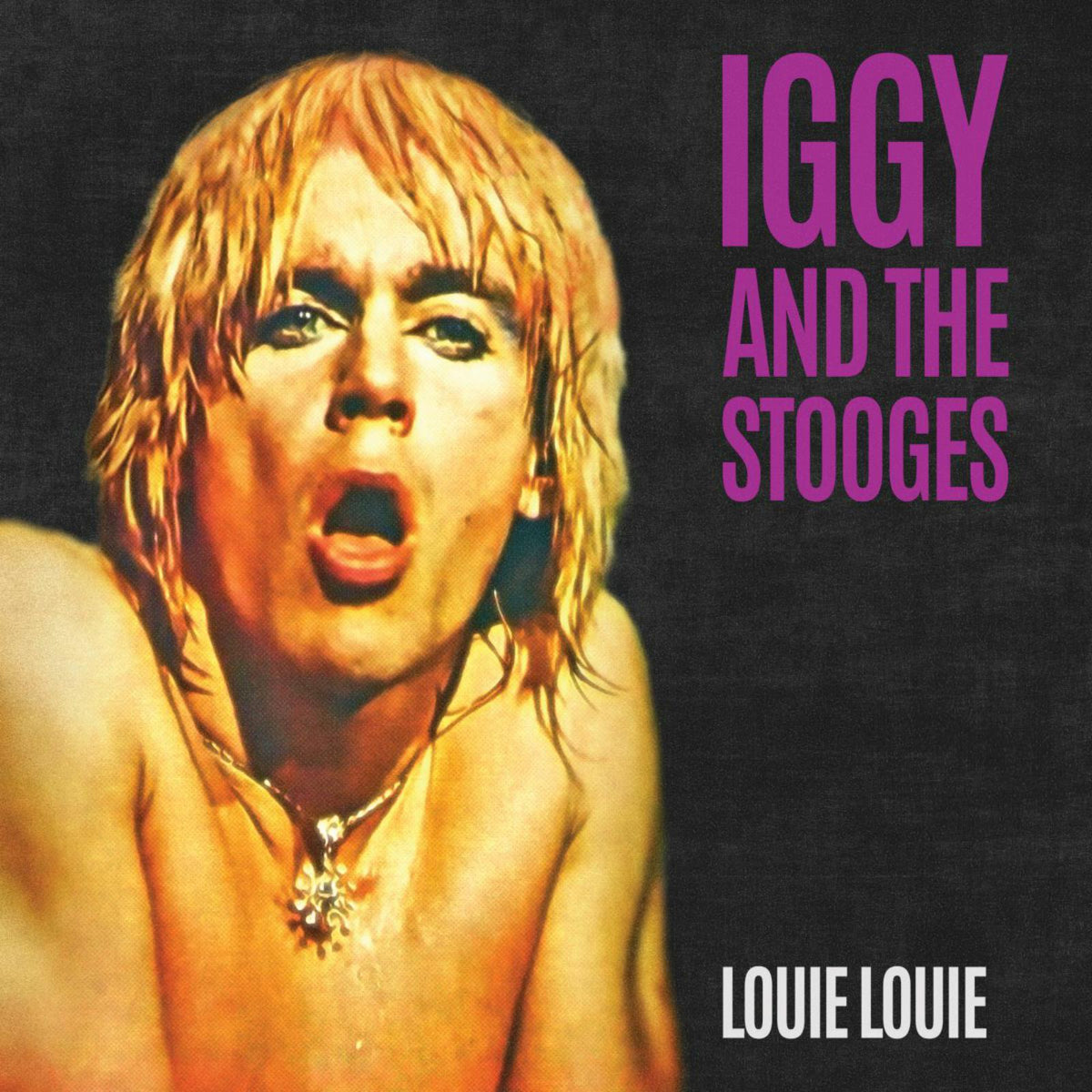 Igg And The Stooges - Louie Louie - CLOS3525