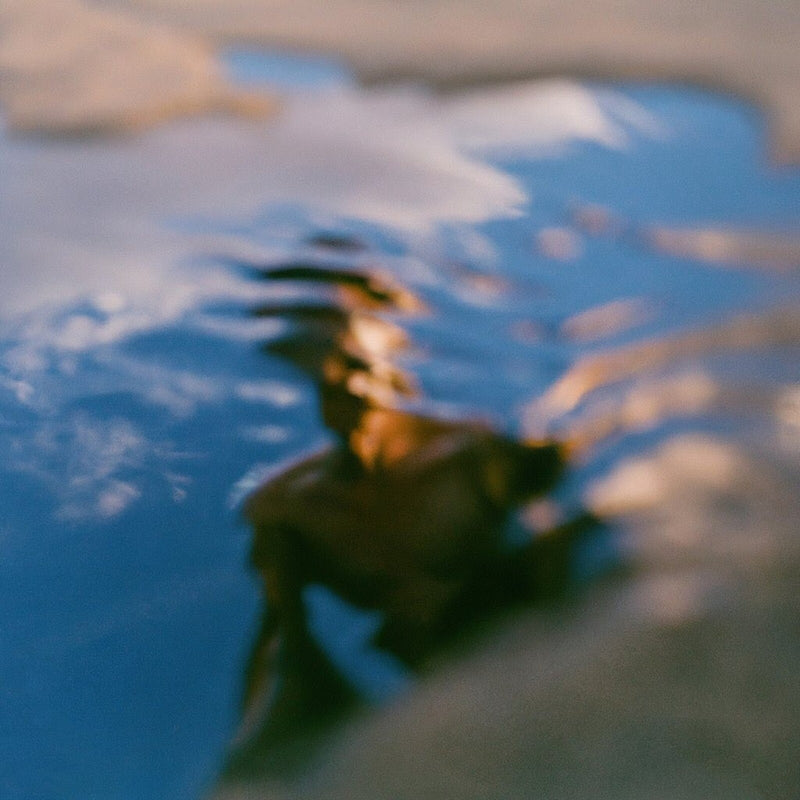 Fhin - Nostalgic for the Future EP - DELICIEUSE029