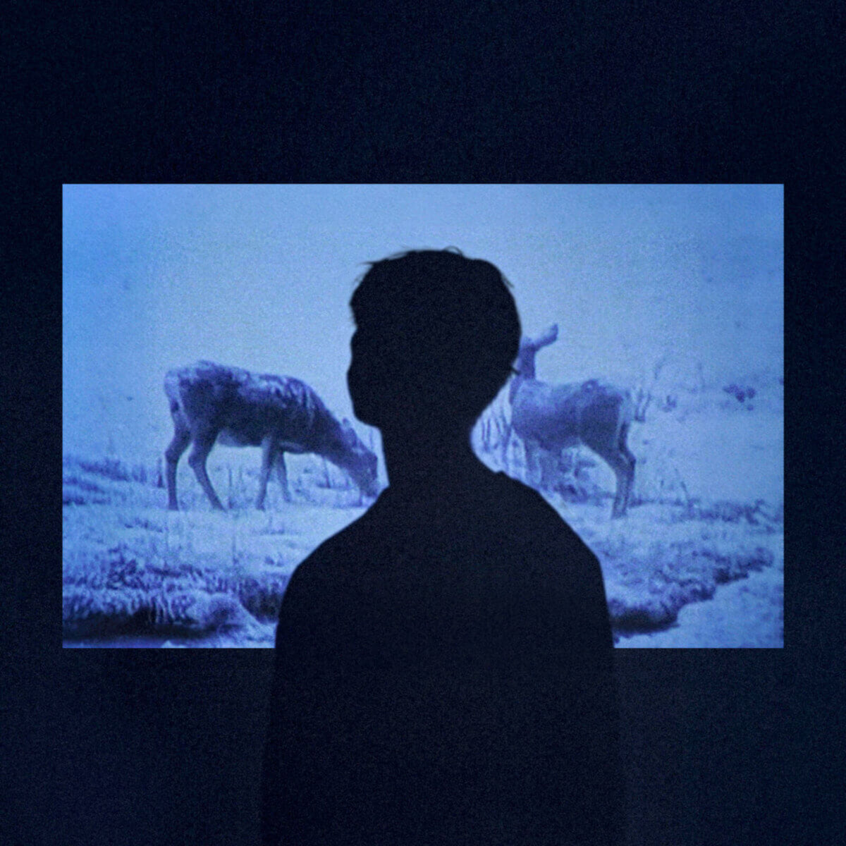 JUMO - Memory - NOW0220