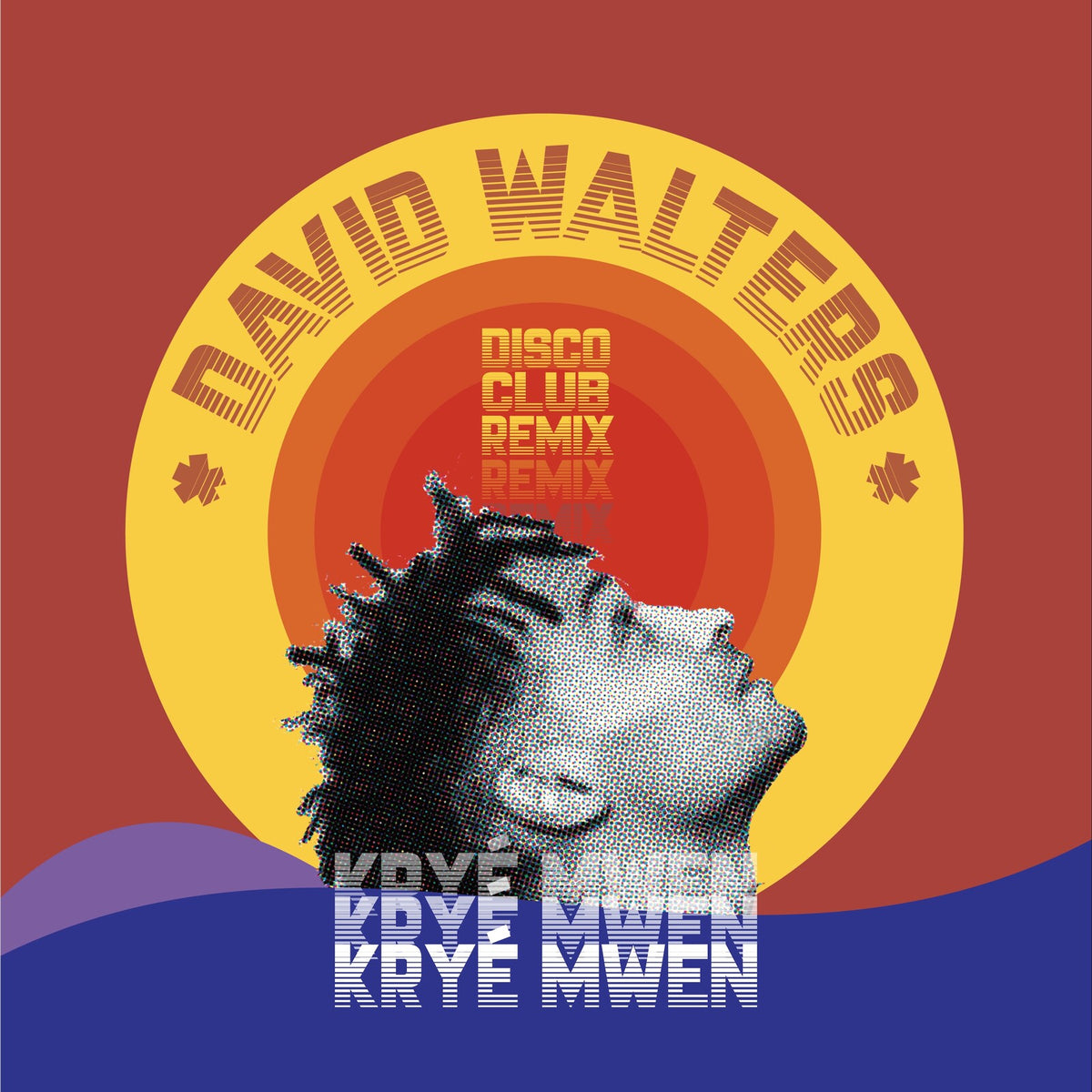 David Walters - Krye Mwen Disco Club Remix - HS283VL