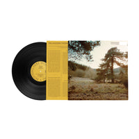 Dylan John Thomas - Nothing Here Worth Taking - BELIEVE140LP