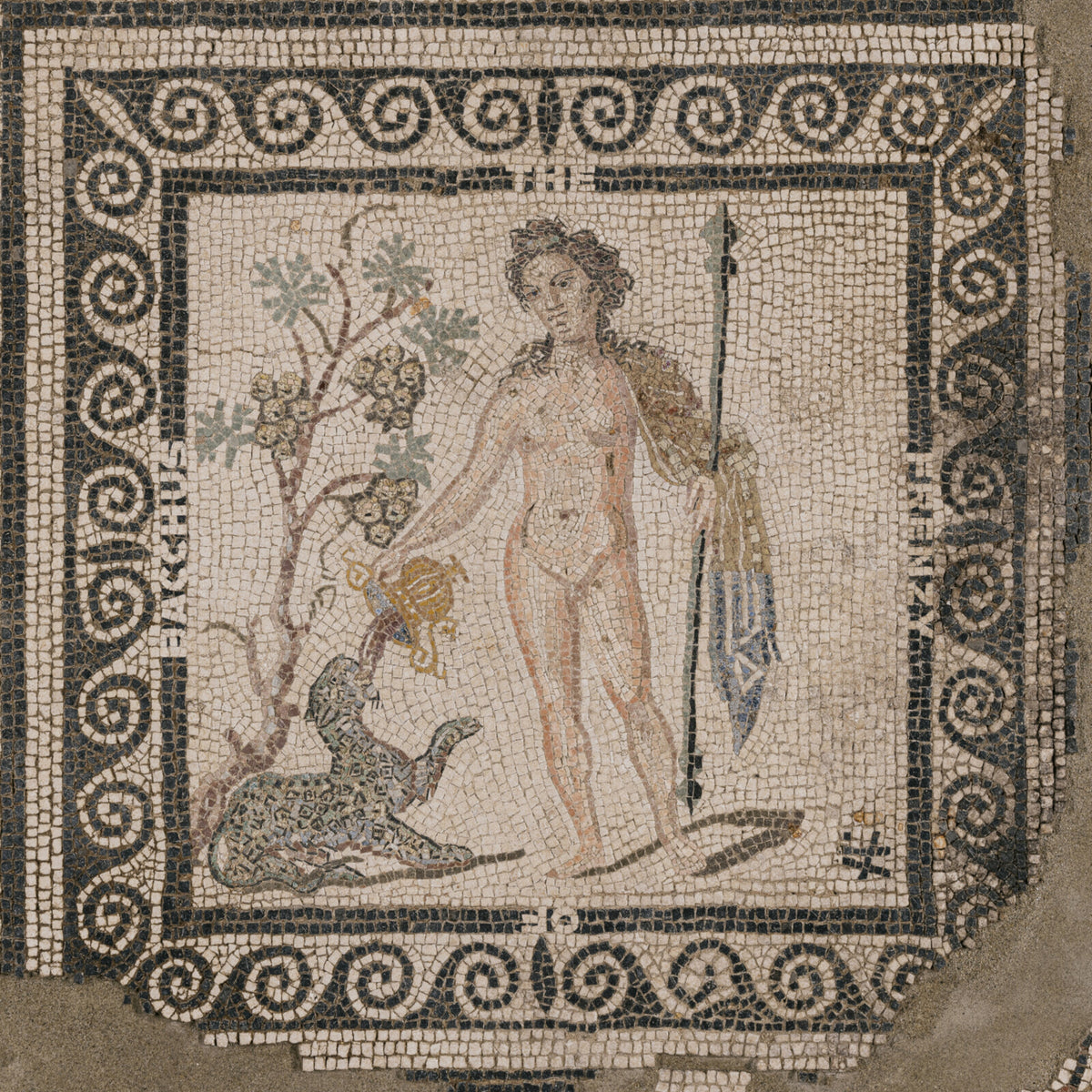 ASM - The Frenzy of Bacchus - CMR070LP