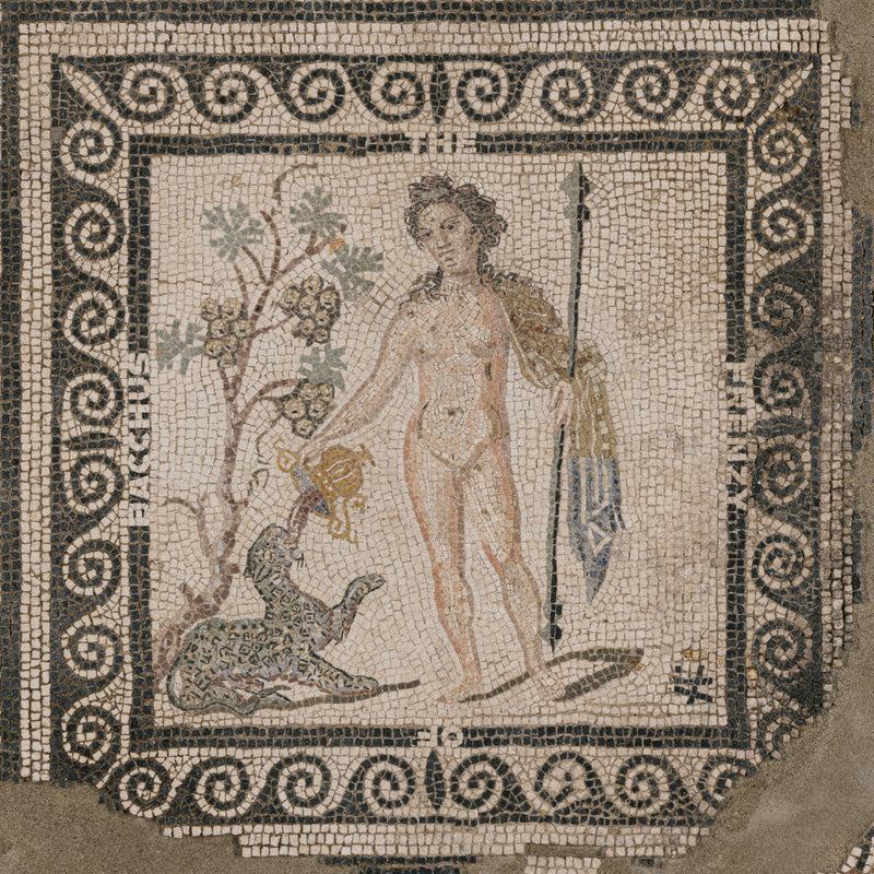 ASM - The Frenzy of Bacchus - CMR070LP