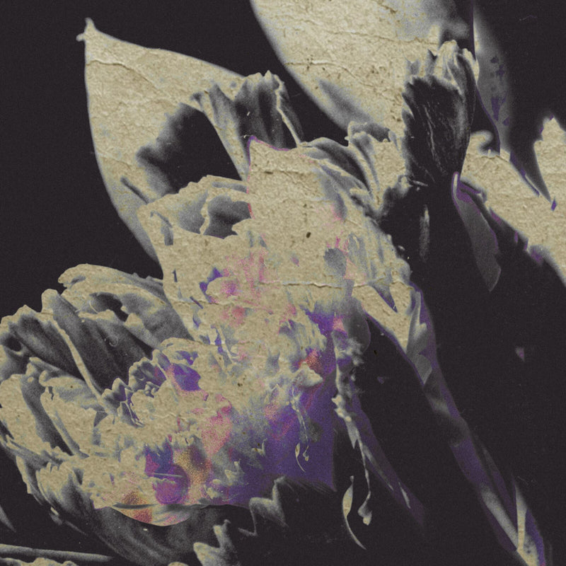 Various - traversee 04 - moving silhouettes - TVR12