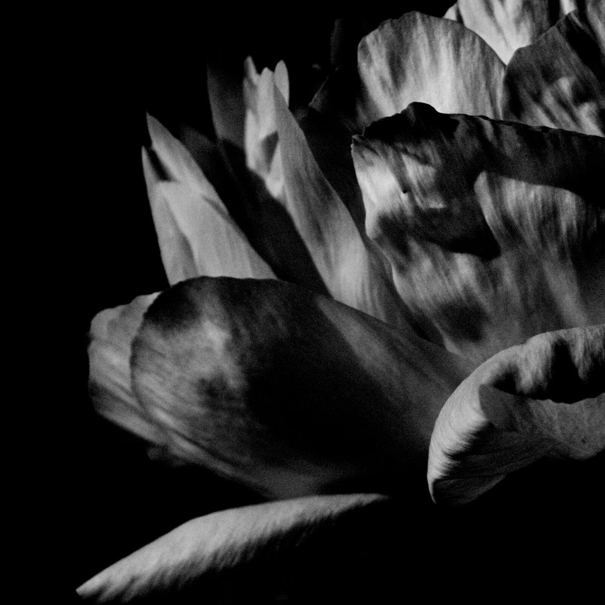 Louise Roam - La ou passe la nuit/Gatefold - SVPD001LP