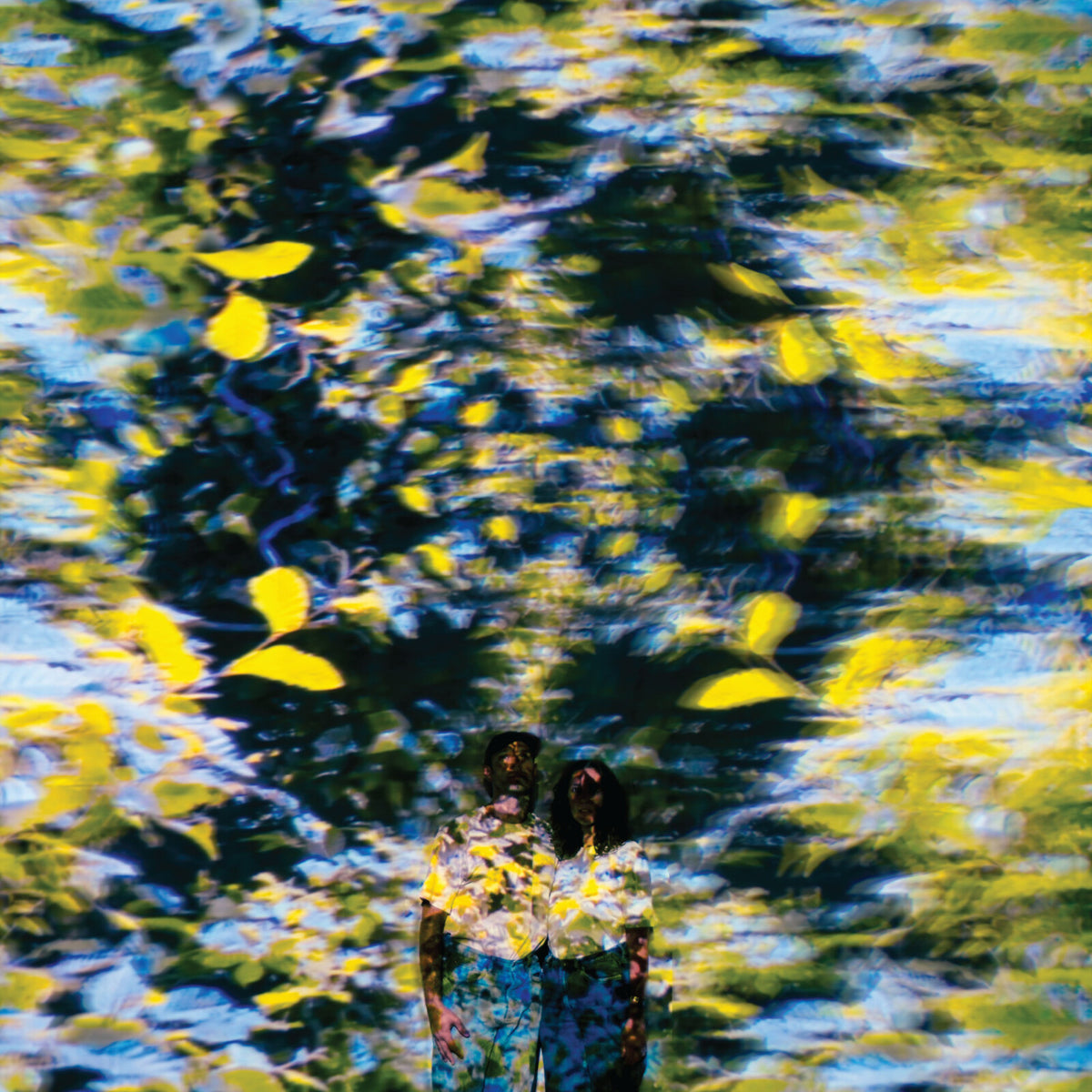 Chaton Laveur - Labyrinthe - XAG066CD