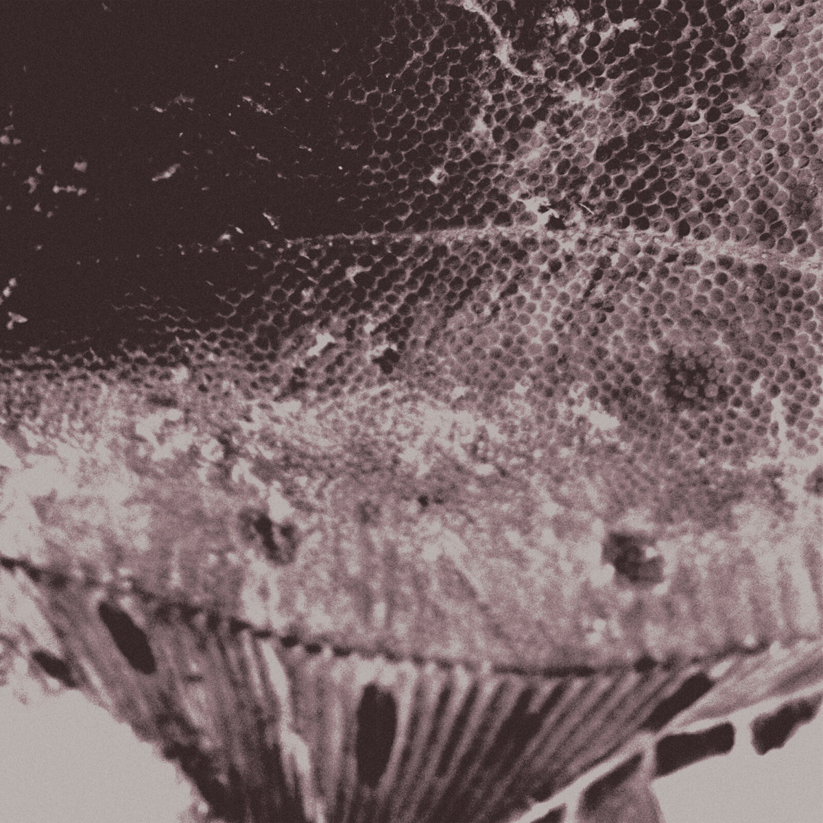 Mark IJzerman - Flounder Maps - PCFQHT03