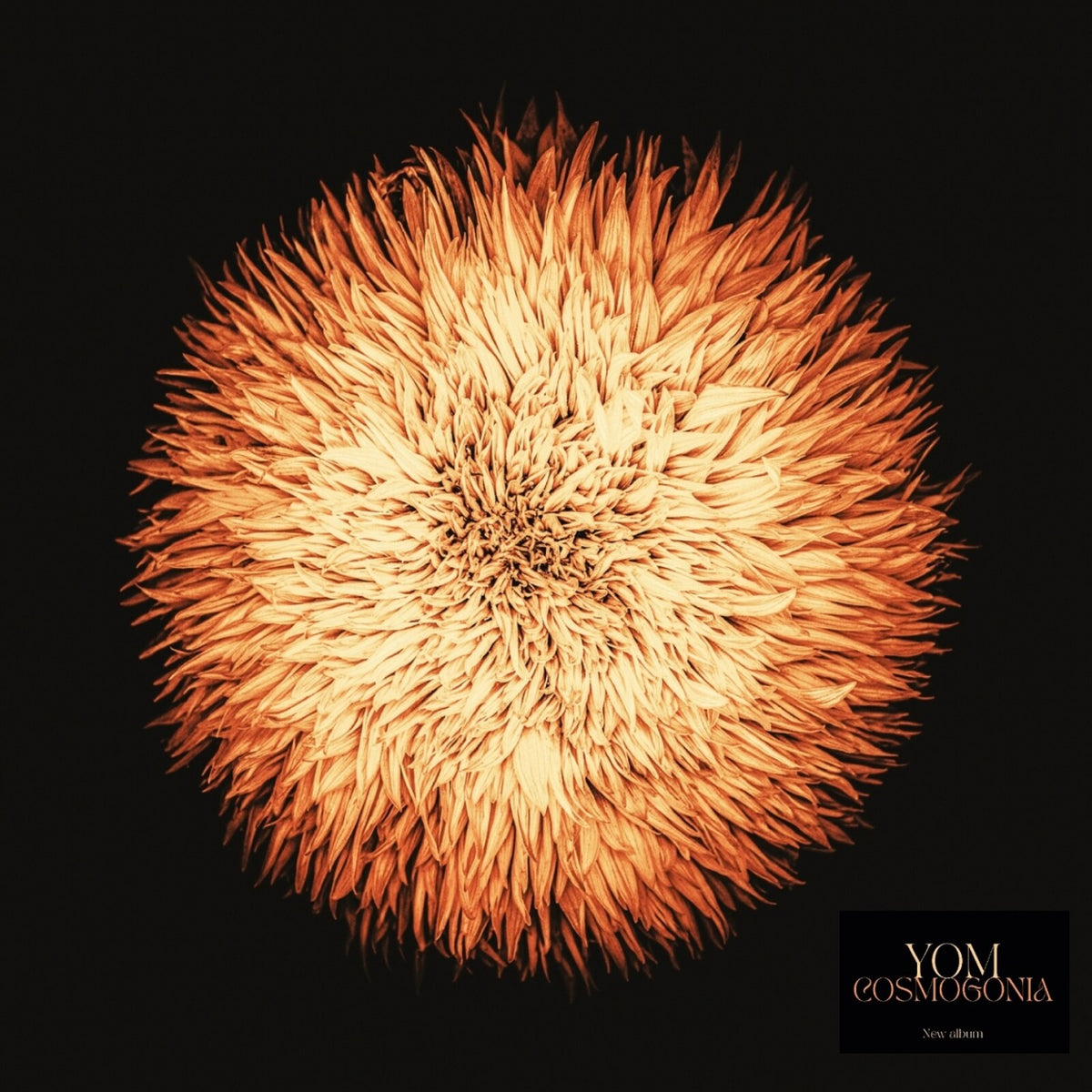 Yom - Cosmogonia - BD26506LP