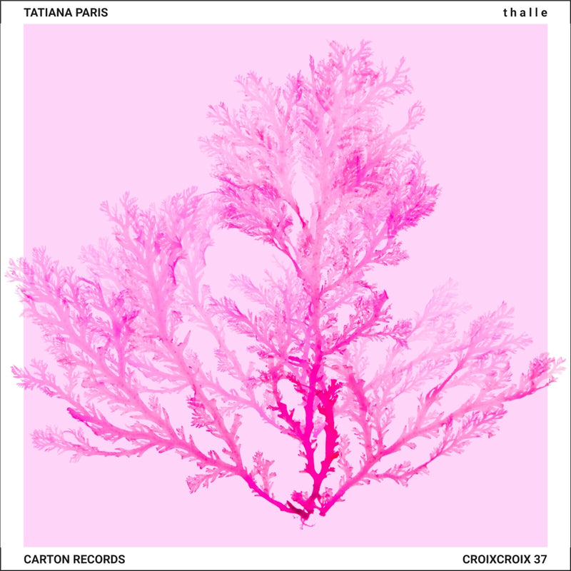 Tatiana Paris - t h a l l e - CROIXCROIX37