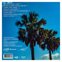 Vincent Courtois Trio - Lines For Lions - RJAL397051