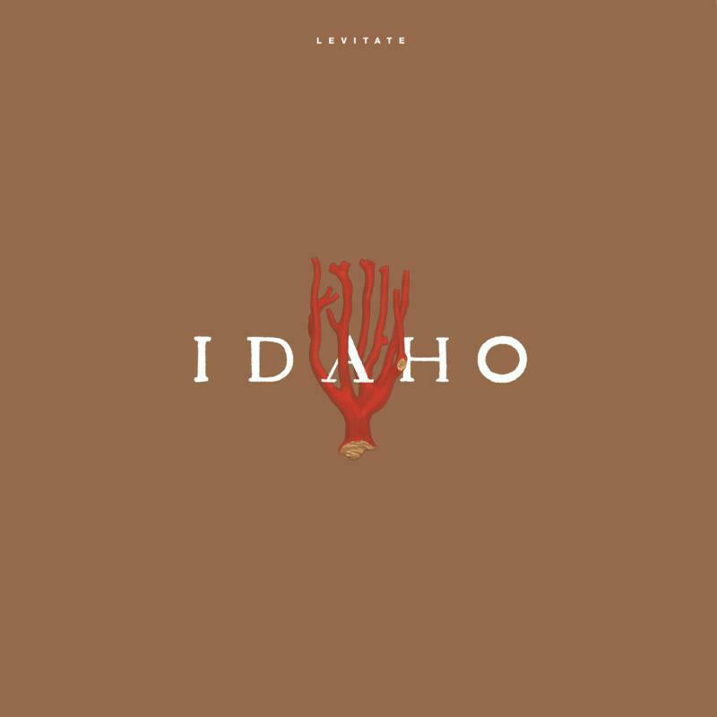 Idaho - Levitate (LP) - TAL115LP